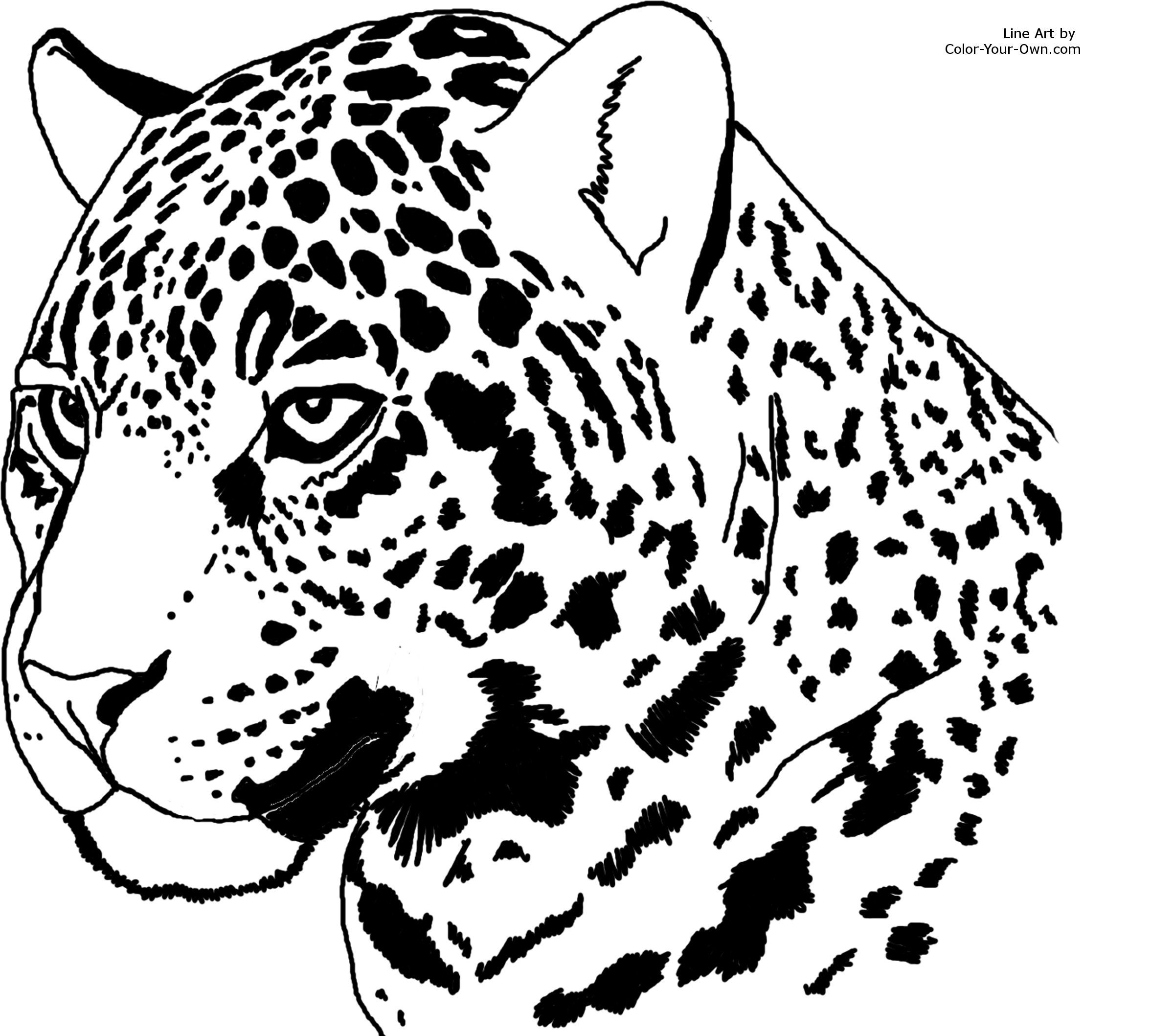 2400x2117 Pin By Kelsey Manthei On Jaguars