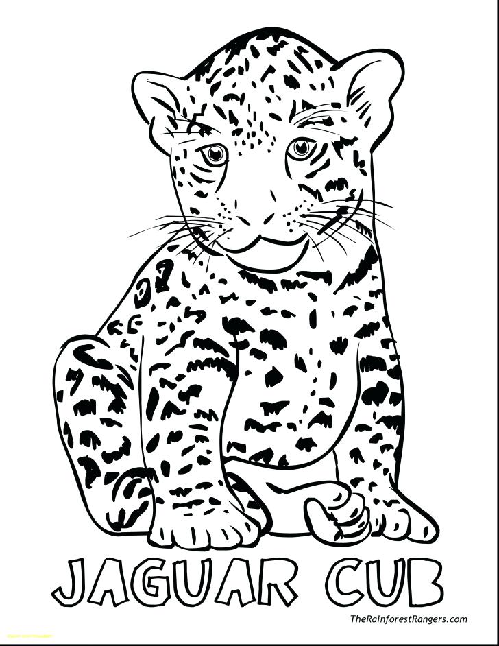 728x942 Jaguar Coloring Pages Animal Printable Coloring Pages Jaguar