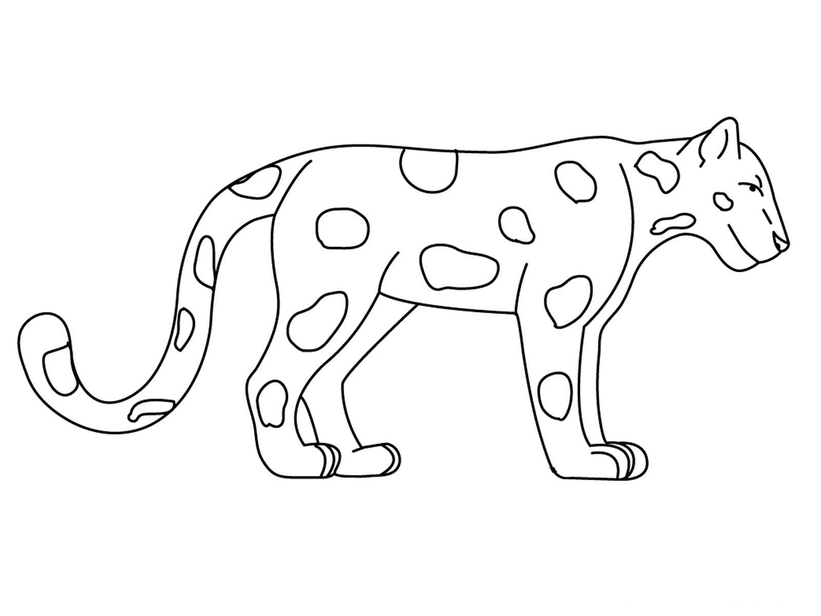 1600x1200 Rainforest Animal Coloring Sheets Jaguar Animal Coloring Pages