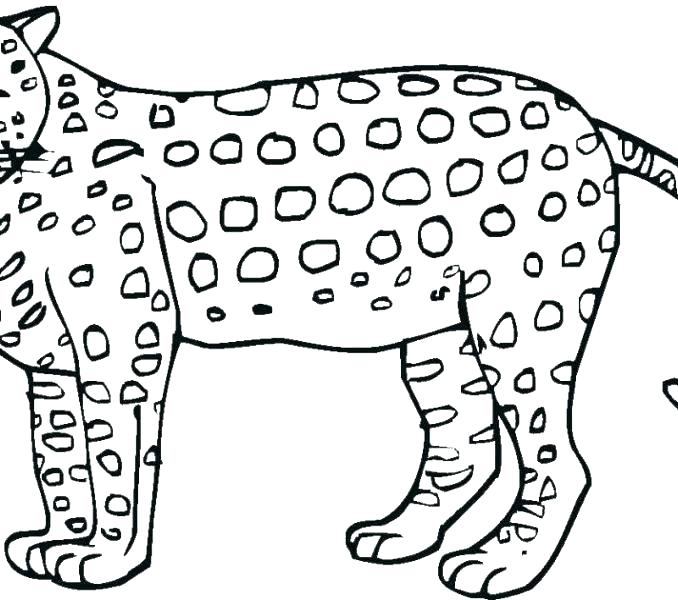 678x600 Jaguar Coloring Page Jaguar Coloring Pages Best Of Jaguar Coloring
