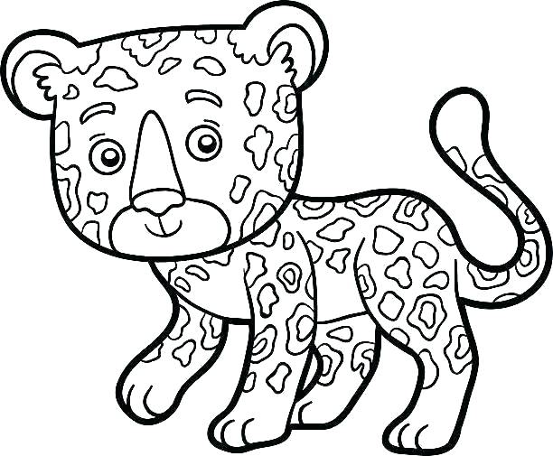 612x505 Jaguar Coloring Page Impair.co