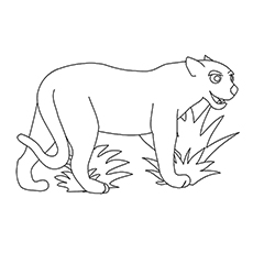 Jaguar Coloring Pages