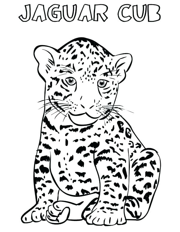 600x776 Jaguar Coloring Pages Baby Jaguar Coloring Pages Free Cub