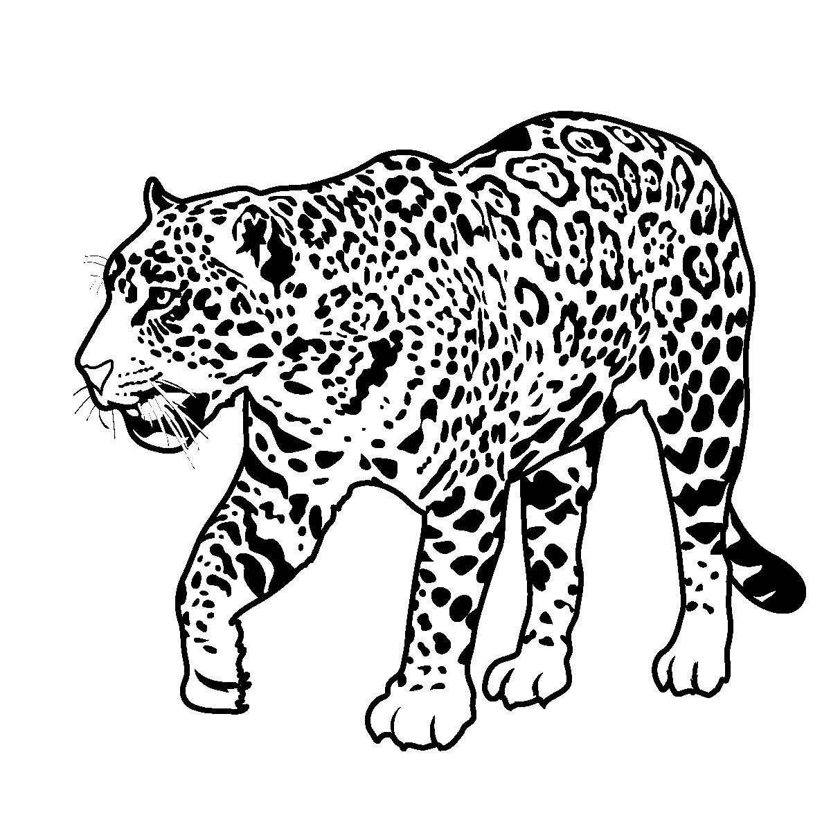 1200x1200 Printable Jaguar Coloring Pages