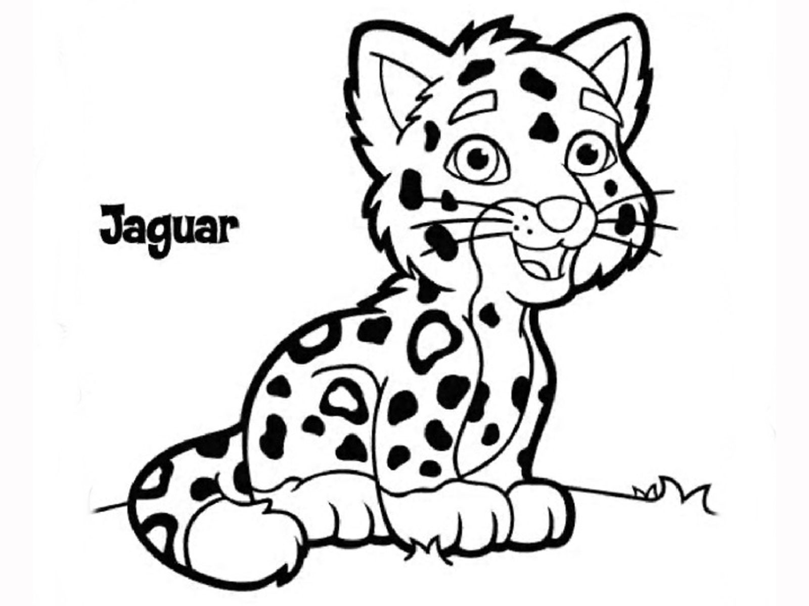 1600x1200 Ba Jaguar Coloring Pages Rainforest Best Of Page Arilitv Baby