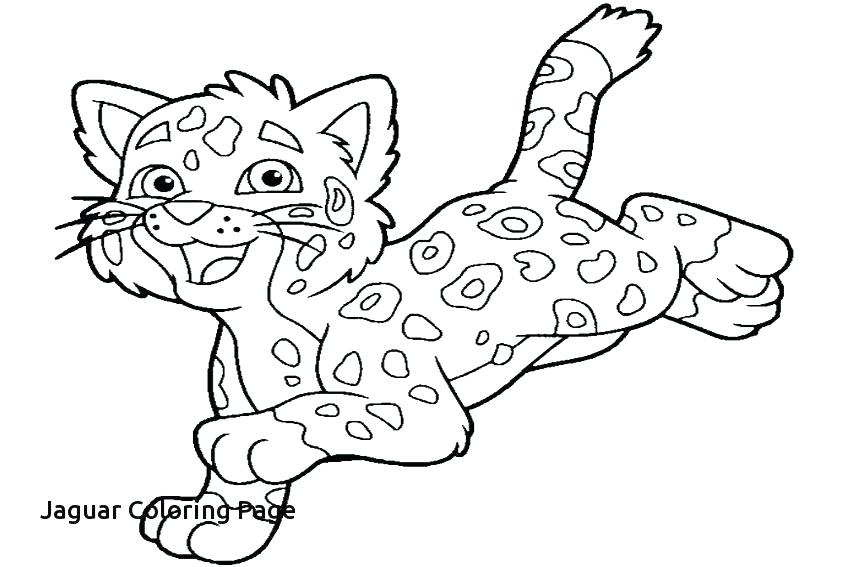 850x567 Coloring Pages Baby Jaguar Coloring Page Jaguar Coloring Pages