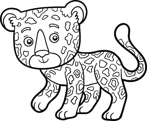 612x505 Jaguar Car Coloring Pages To Print Jaguar Fighting Jaguar Coloring