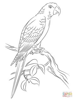 236x316 Color 25 Unique Birds