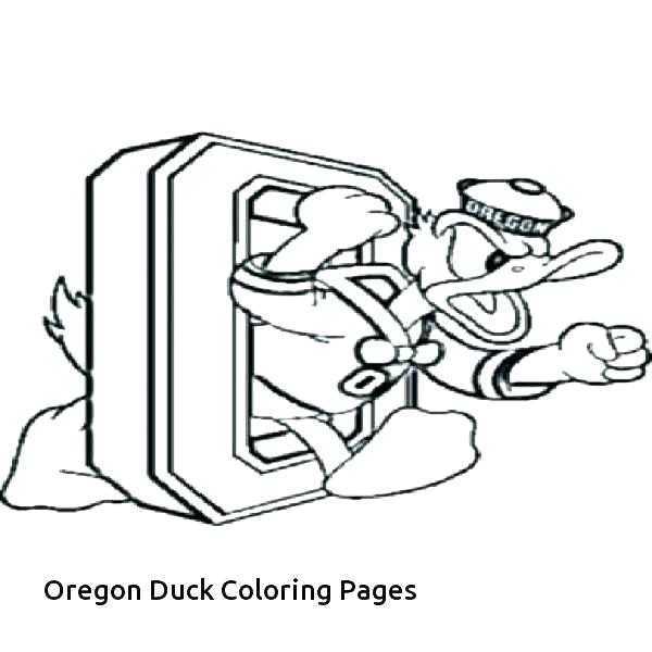 600x600 James Coloring Pages Coloring Pages Basketball Player Coloring