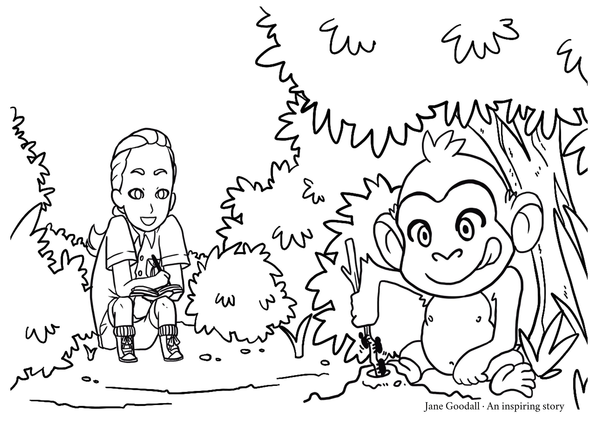 2480x1756 Expert Jane Goodall Coloring Page 9 Www Reevolveclothing Com