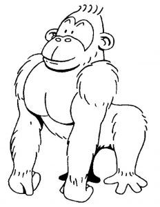 232x300 27 Best Gorilla Coloring Pages Images On Kindergarten