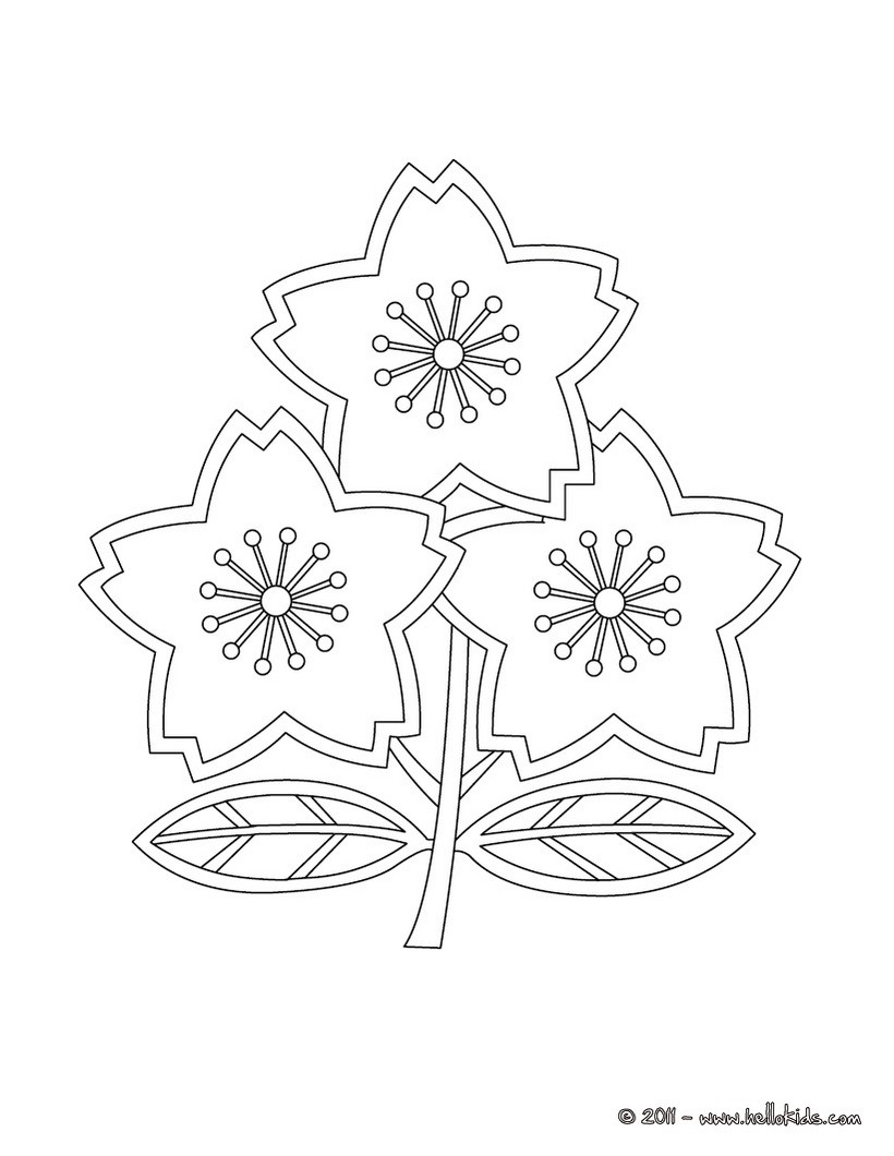 820x1060 Limited Flag Of Japan Coloring Page Rugby Team