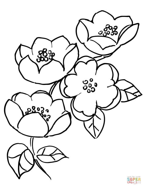 Japanese Cherry Blossom Coloring Pages
