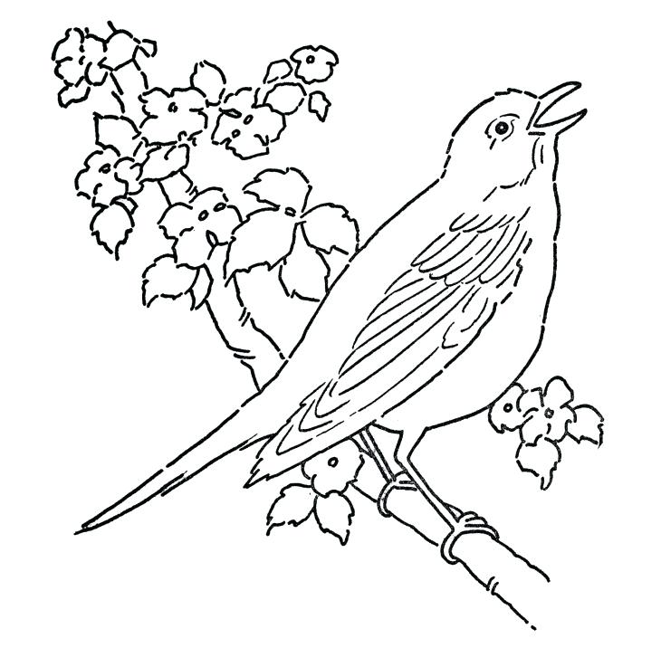 730x716 Cherry Blossom Coloring Pages Geisha Coloring Pages Cherry Blossom