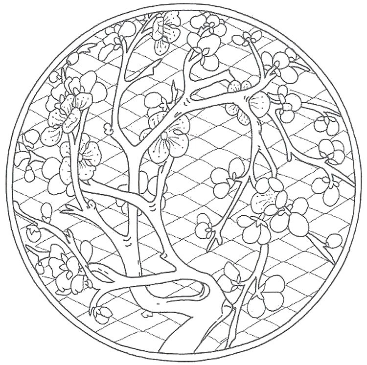 750x746 Cherry Blossom Coloring Pages Unique Japanese Coloring Pages Japan