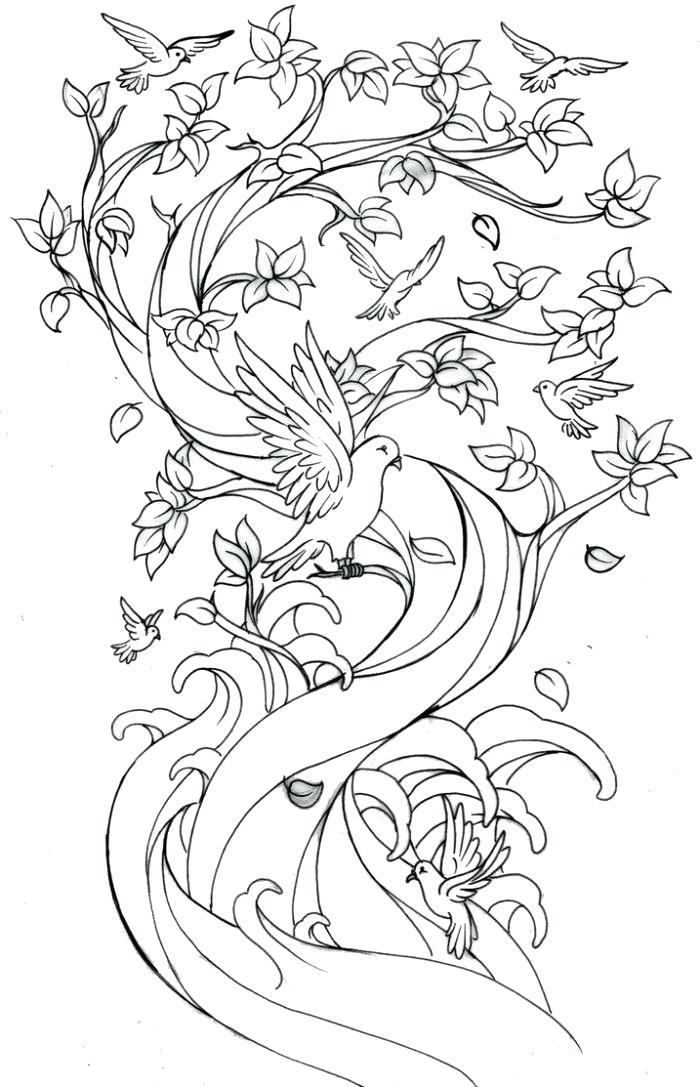 700x1087 Japanese Cherry Blossom Coloring Pages Coloring Sheets Coloring
