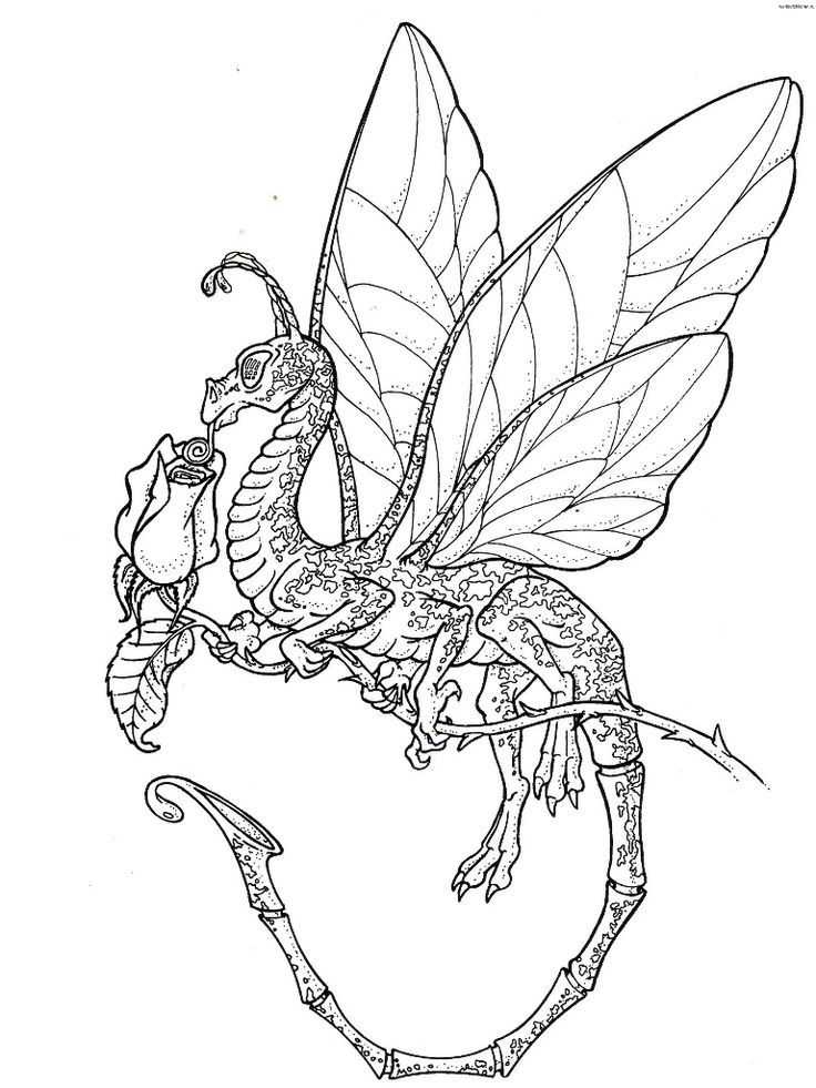 736x981 Japanese Dragon Coloring Pages Pages 146 Next Image Dragons