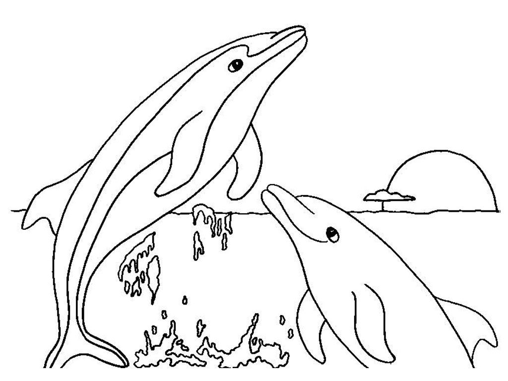 1024x768 Excellent Japan Surgeonhead Coloring Page Realistic Sea Animal