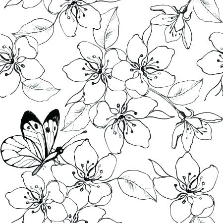 450x450 Japan Coloring Pages Kevmeyme Japan Coloring Pages Hello Kitty