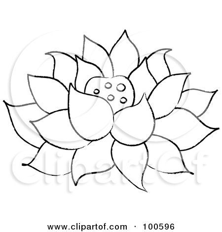 450x470 Outline drawings Coloring Page Outline Of A Lotus Flower