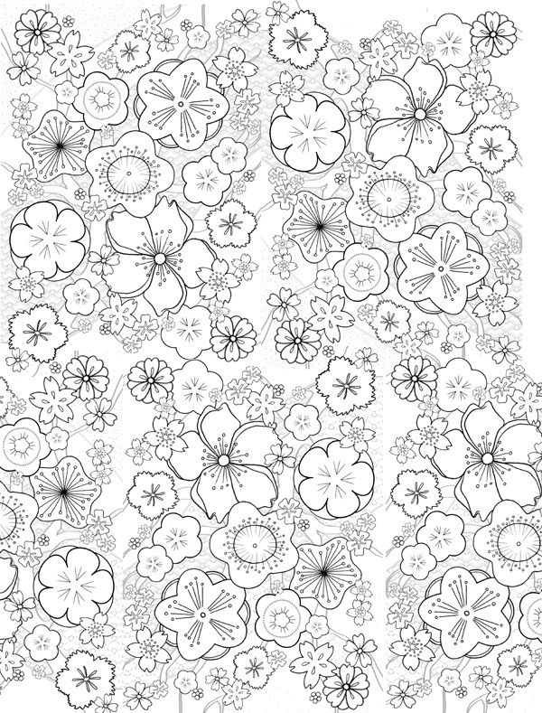 600x789 Adult Coloring Page Japan Japan Flowers Of Cherry Trees 17