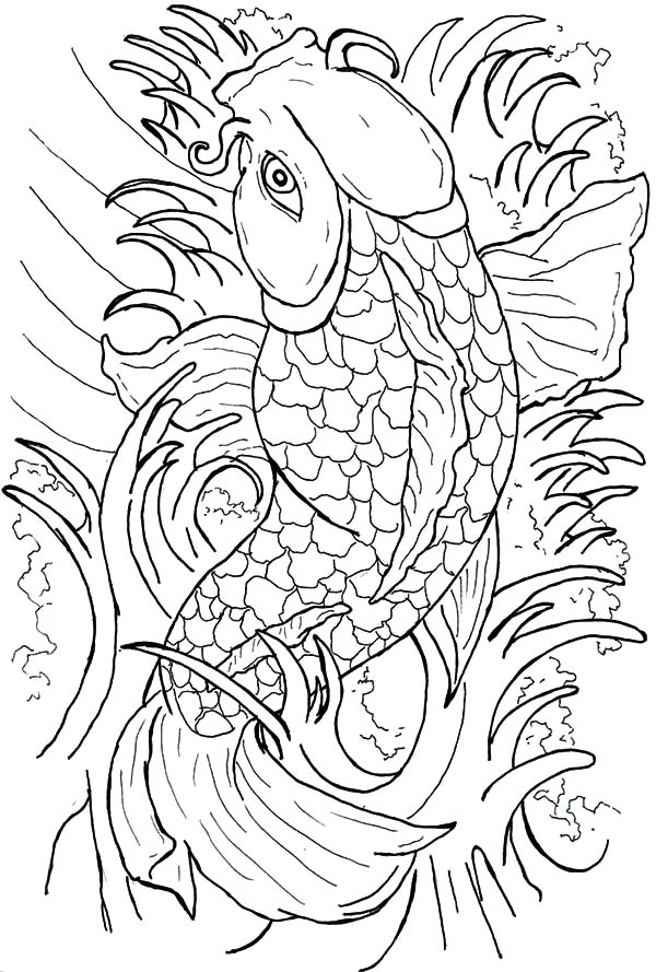 Japanese Koi Coloring Pages