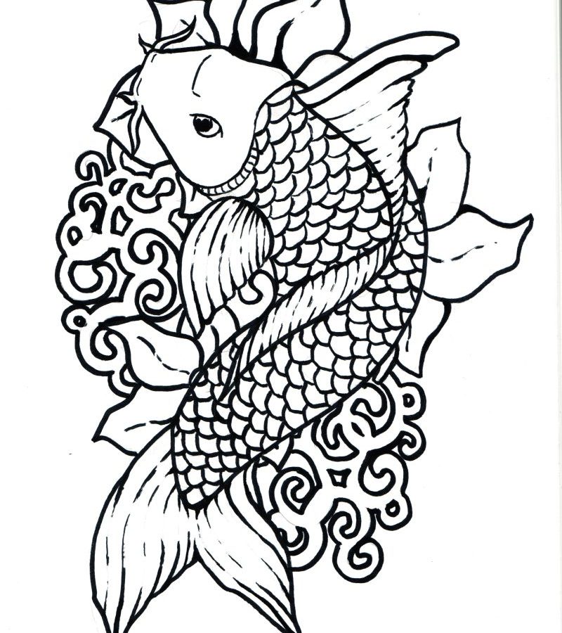 800x900 Japanese Koi Coloring Pages Download And Print For Free Page Fish