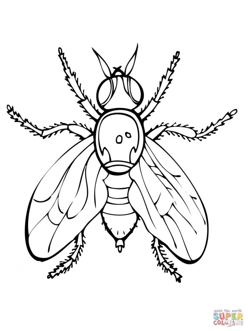 805x1073 Coloring Mason Jar Coloring Page With Free Printable Mason Jar