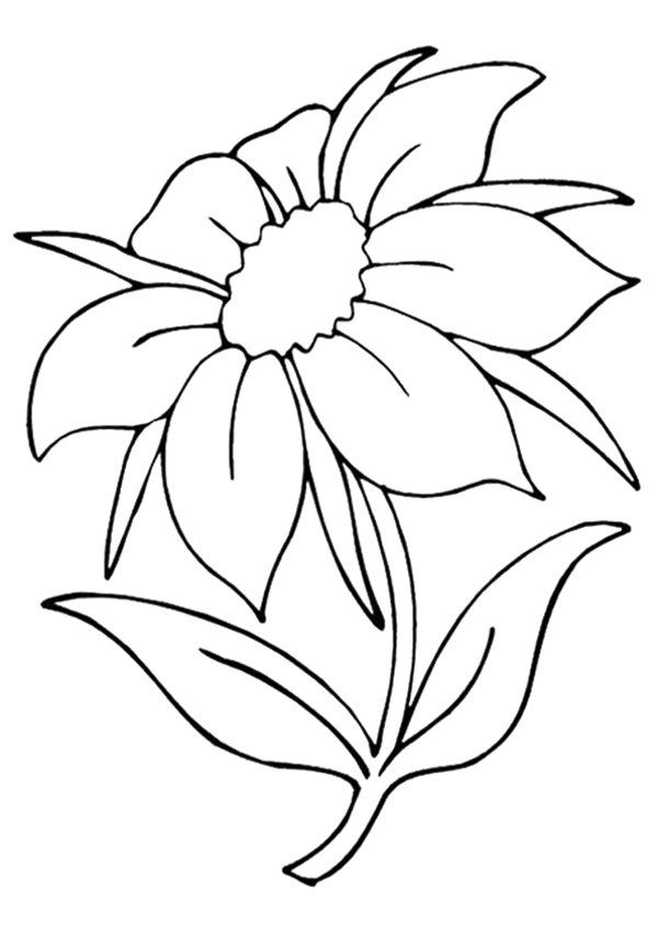 600x849 The Jasmine Flower Coloring Pages Printable Activities