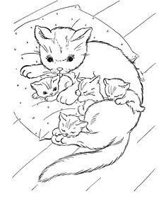 235x288 Bluecat Gallery