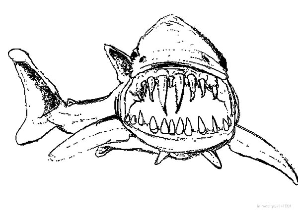 600x434 Hideous Long And Sharp Jaws Coloring Pages Best Place To Color