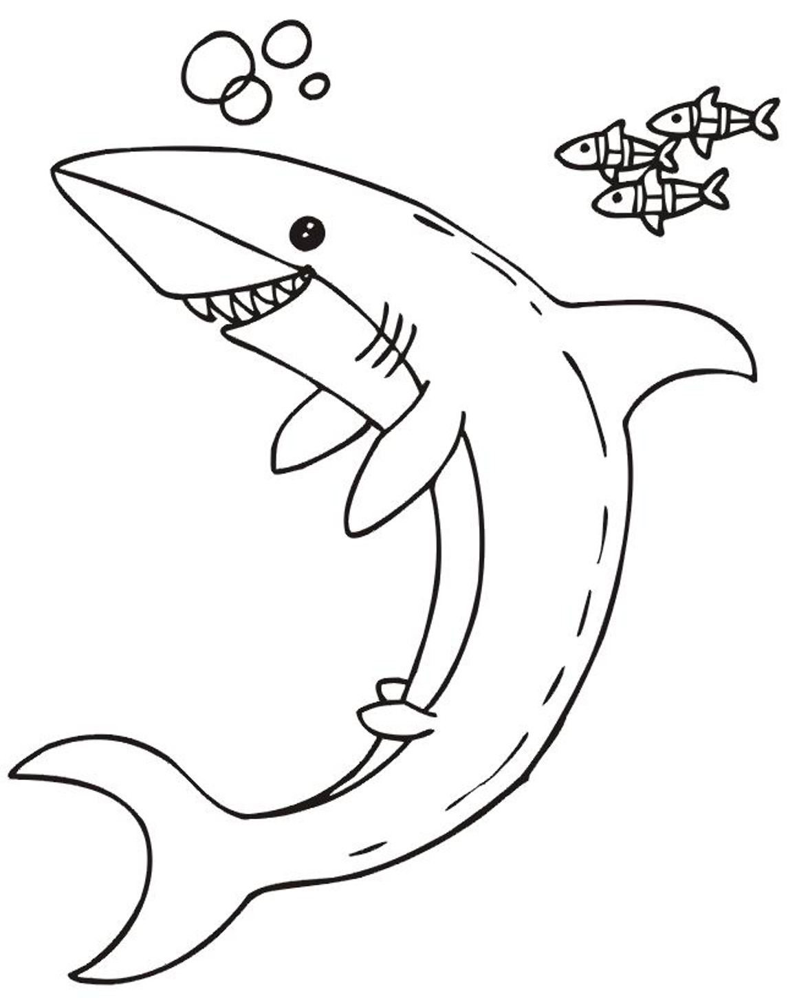 1146x1451 Security Printable Shark Pictures Jaws Coloring Page