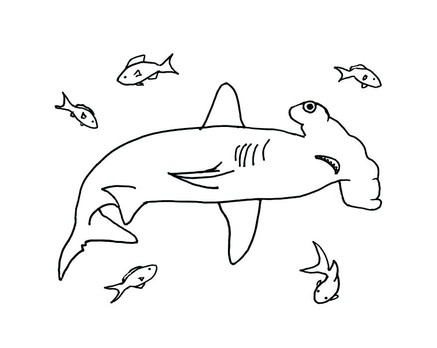 878x699 Whale Shark Coloring Pages Shark Coloring Pages Shark To Color