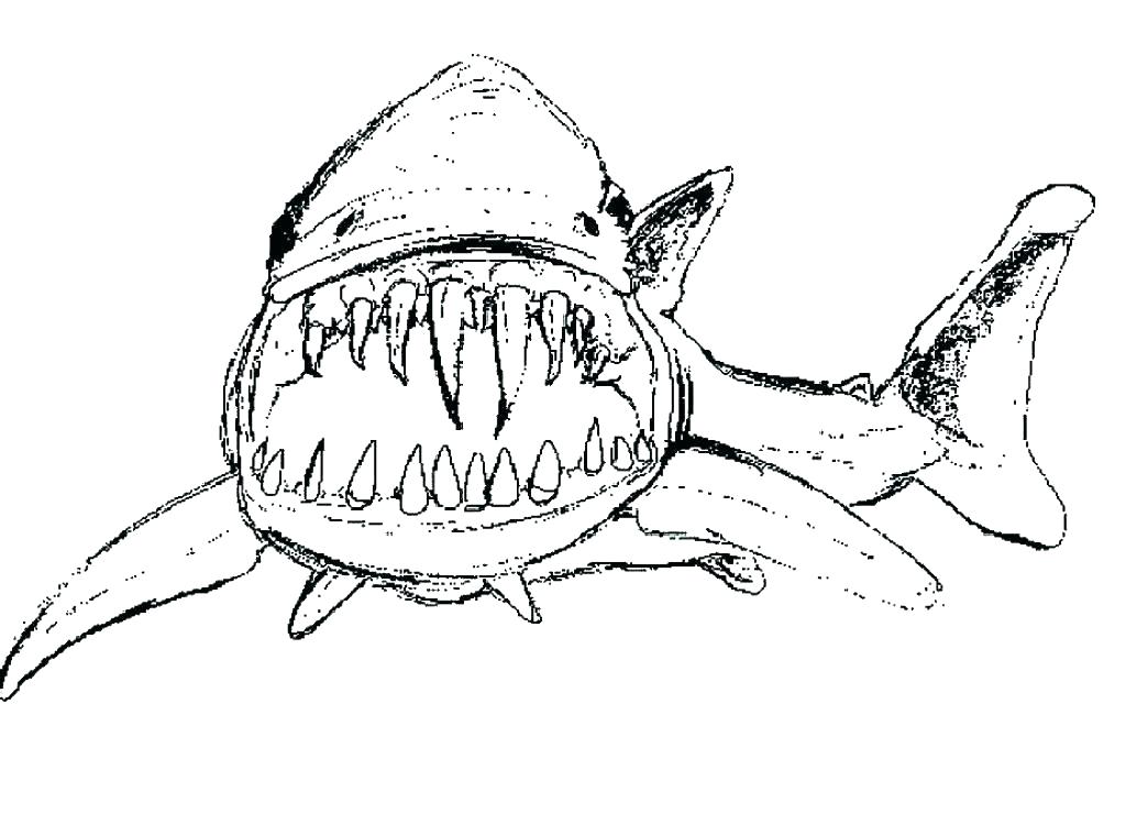1024x740 Coloring Pages Shark Coloring Pages Of Sharks Jaws Shark Jaws