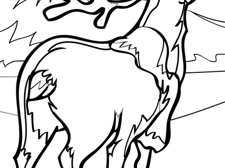 Jayhawk Coloring Page