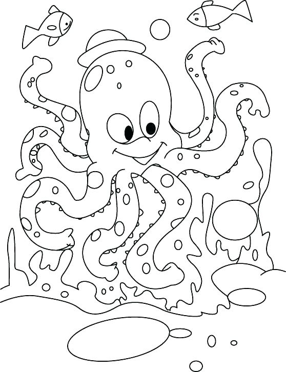 558x726 Jeff Hardy Coloring Pages Painting Coloring Pages Coloring Page