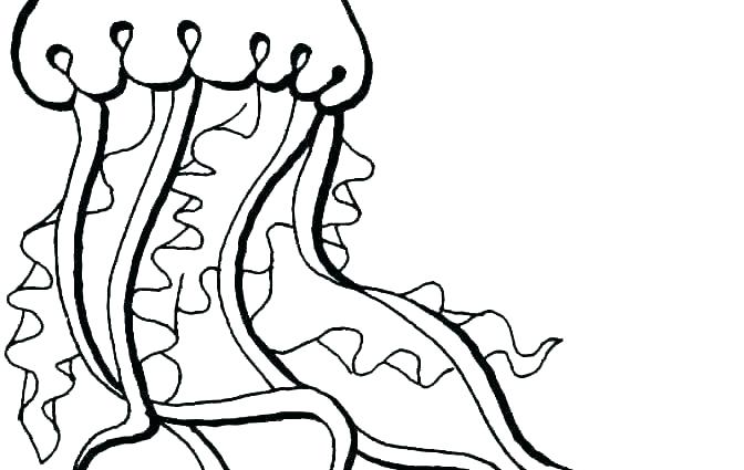 672x425 Jelly Fish Coloring Page Jelly Fish Coloring Page Fish Color Pages