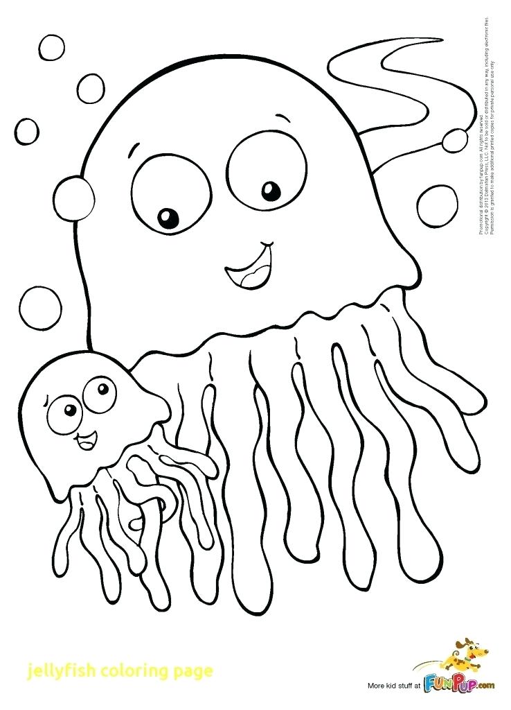 738x1024 Jellyfish Coloring Pages Jelly Fish Coloring Page Jellyfish