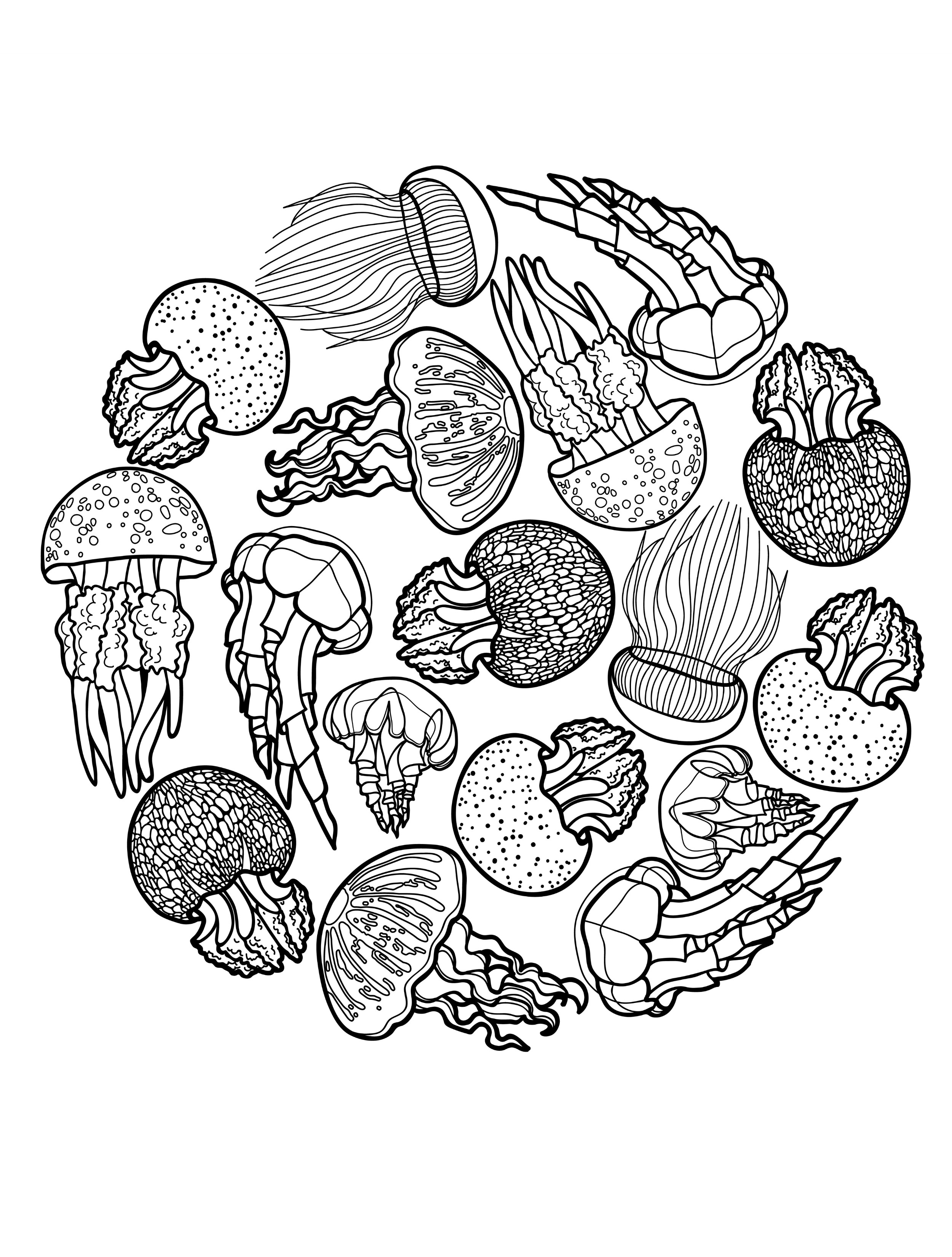 Jellyfish Coloring Page