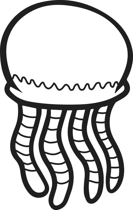 445x700 Jellyfish Coloring Page Jellyfish Coloring Page Jellyfish Coloring