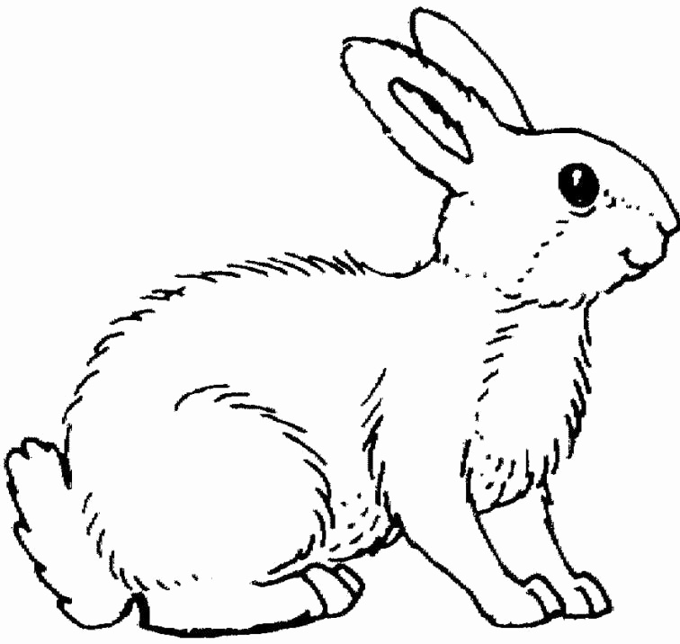 756x716 Jessica Rabbit Coloring Pages Awesome Rabbit Coloring Pages