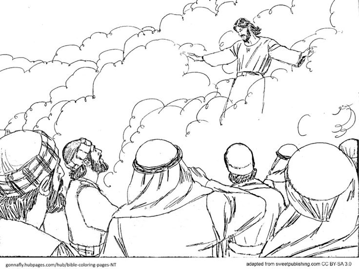 736x552 47 Luxury Jesus Return Coloring Page Coloring Pages