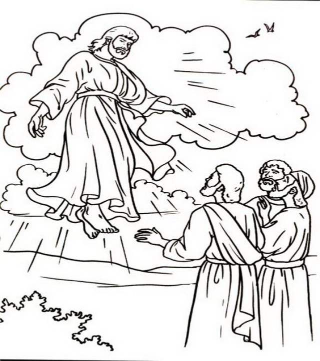 640x723 Ascension Of Jesus Christ Coloring Pages Dominical, Escuela
