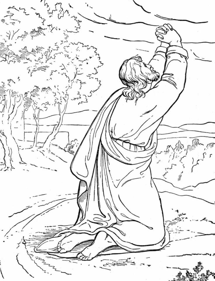 736x963 684 Best Coloring Bible Stories Images On Sunday