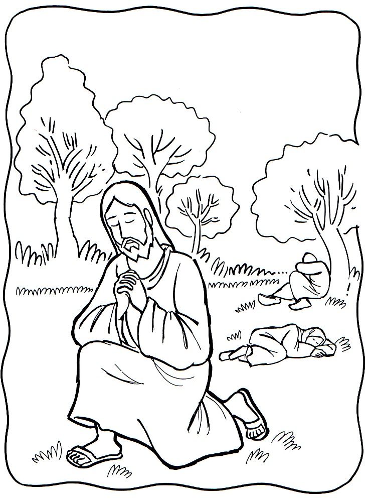 730x996 22 Best Jardin De Images On Lent, Bible