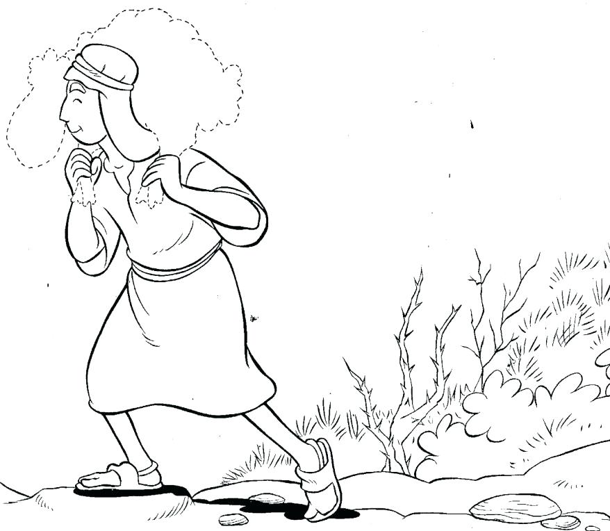 878x764 Good Shepherd Coloring Page Good Shepherd Coloring Page Good