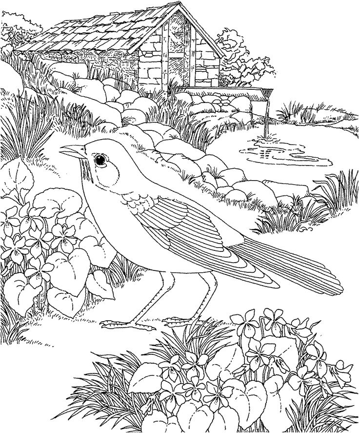 736x887 17 Best Mandaly Images On Coloring For Adults, Doodles