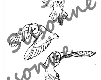 340x270 Paisley Affirmation Coloring Page Follow Your Dreams Instant