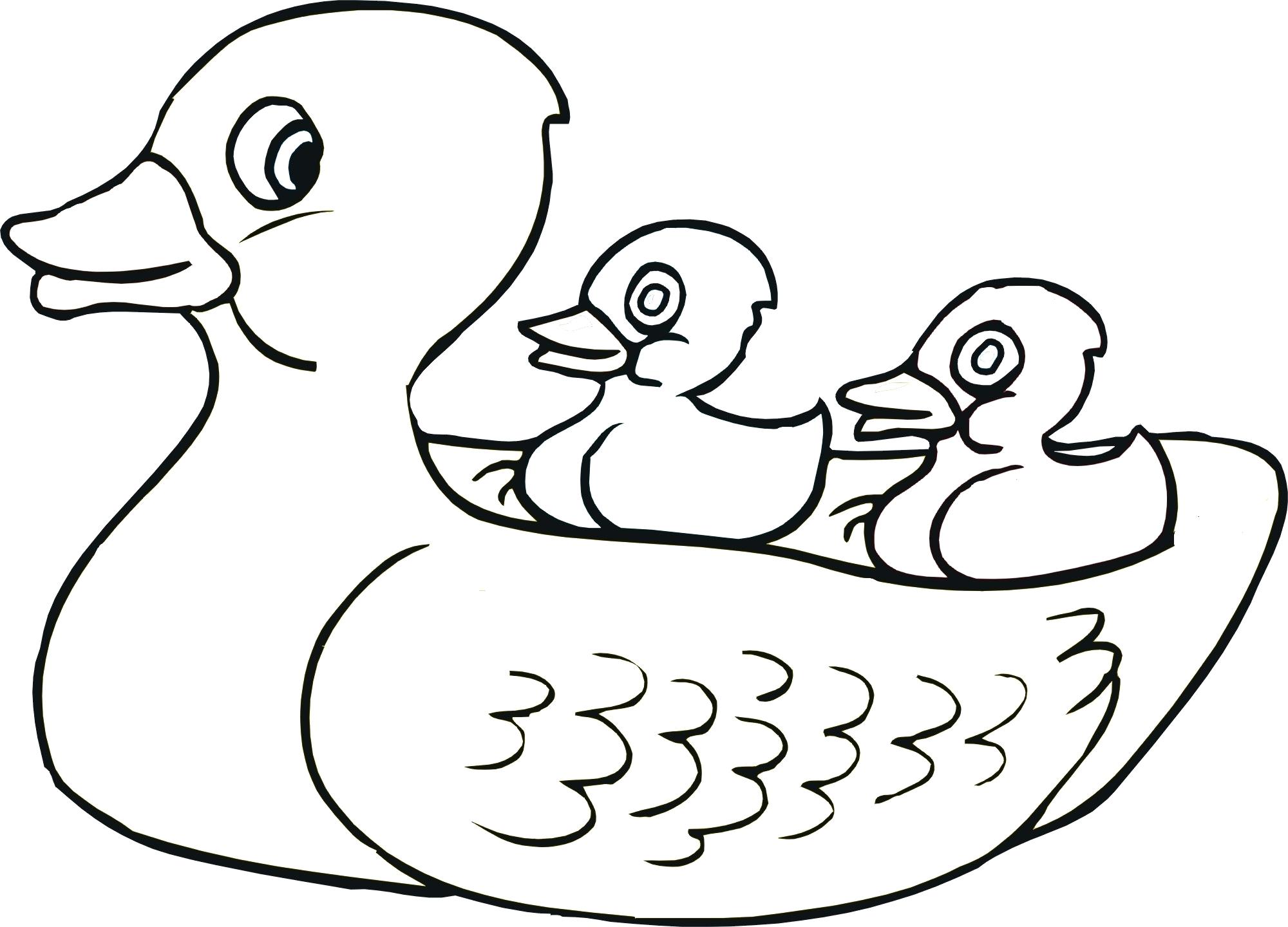2000x1440 Free Baby Horse Coloring Pages Jogging Page Cute Toy Best