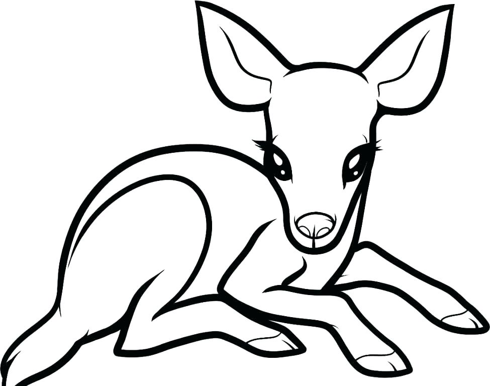 975x768 Deer Coloring Page John Free John Deere Coloring Pages Printable